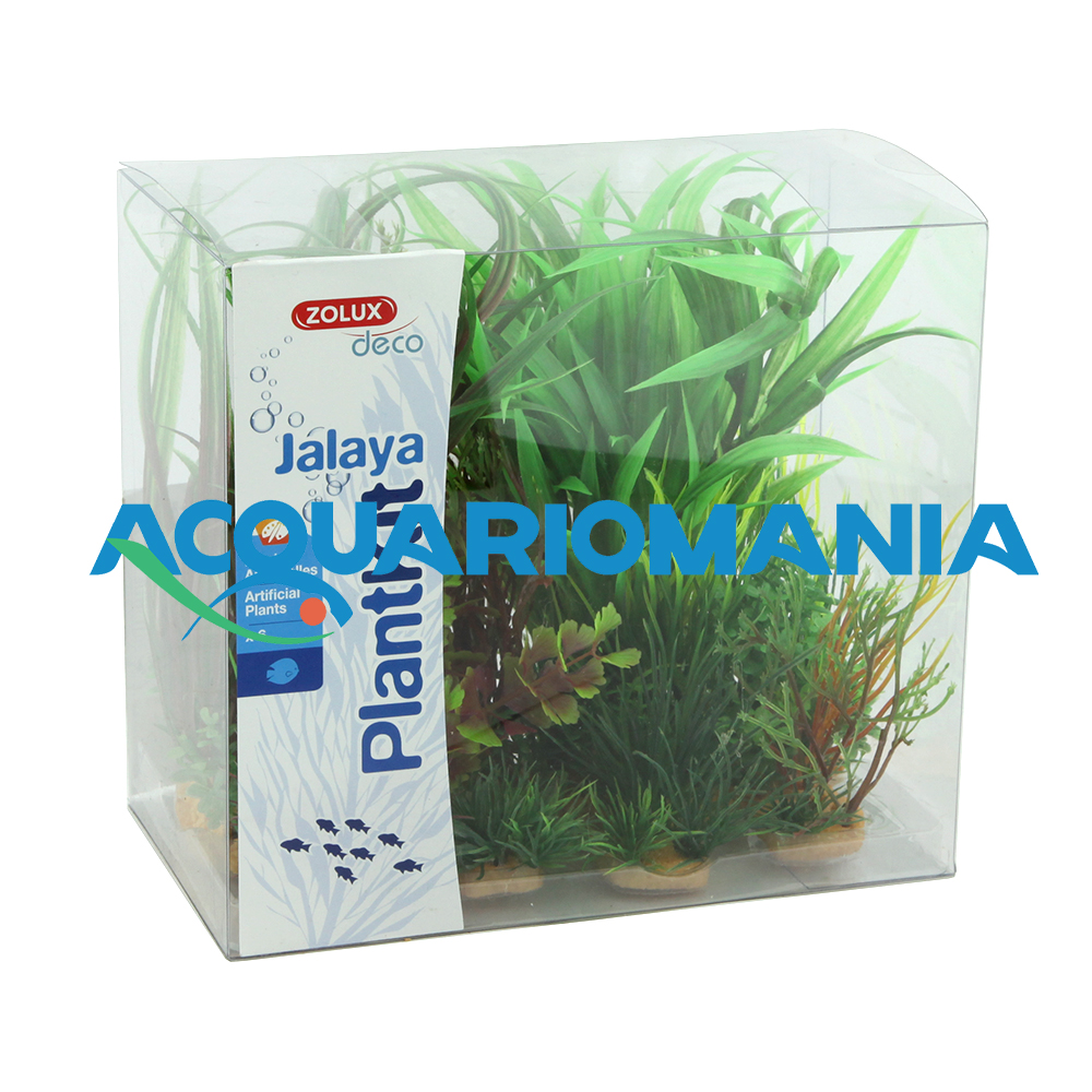 Zolux PlantKit Jalaya 4 Assortimento 6 piantine in plastica
