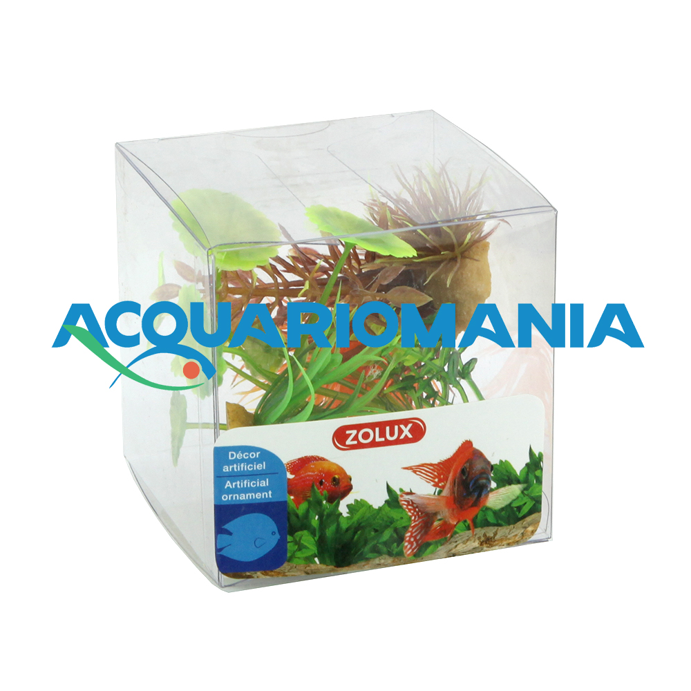 Zolux PlantKit Mix 4 Modello 2 Assortimento piantine in plastica