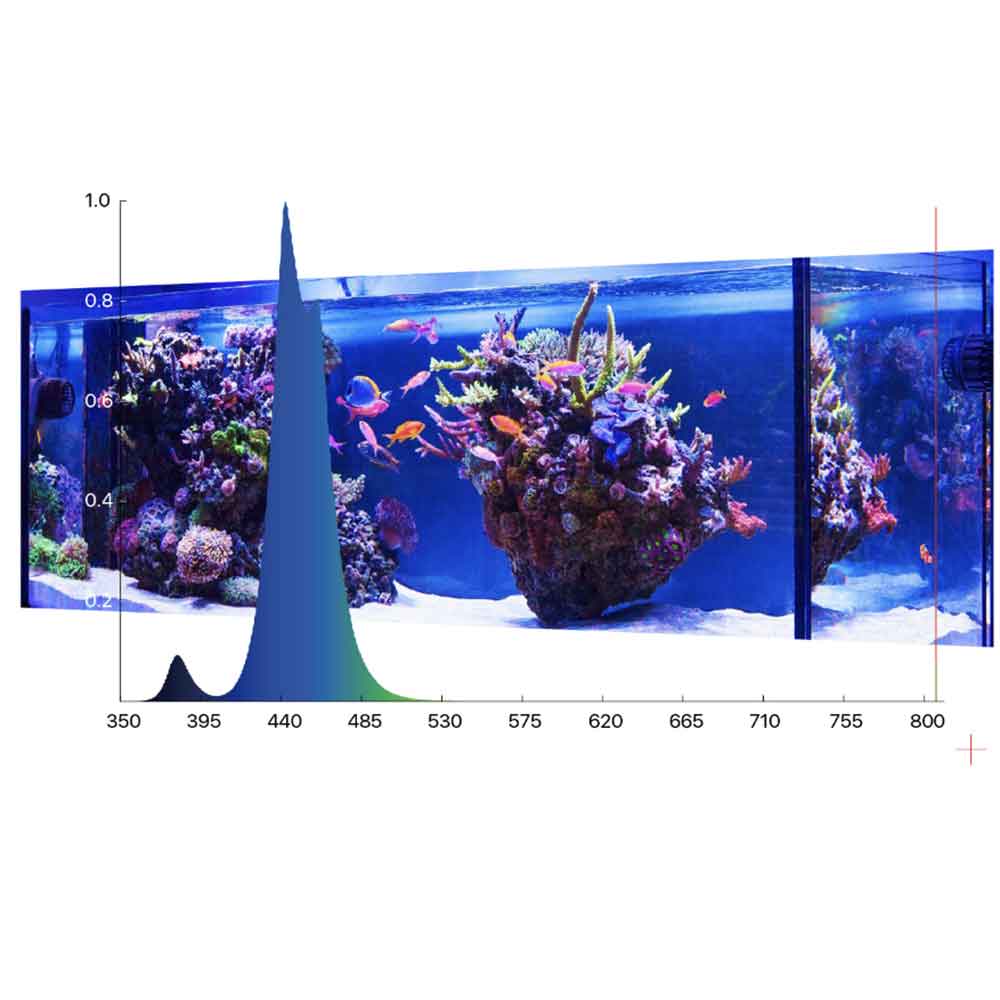 Micmol Nano X Reef Led Light 30W 20x10,5x2,5h cm 
