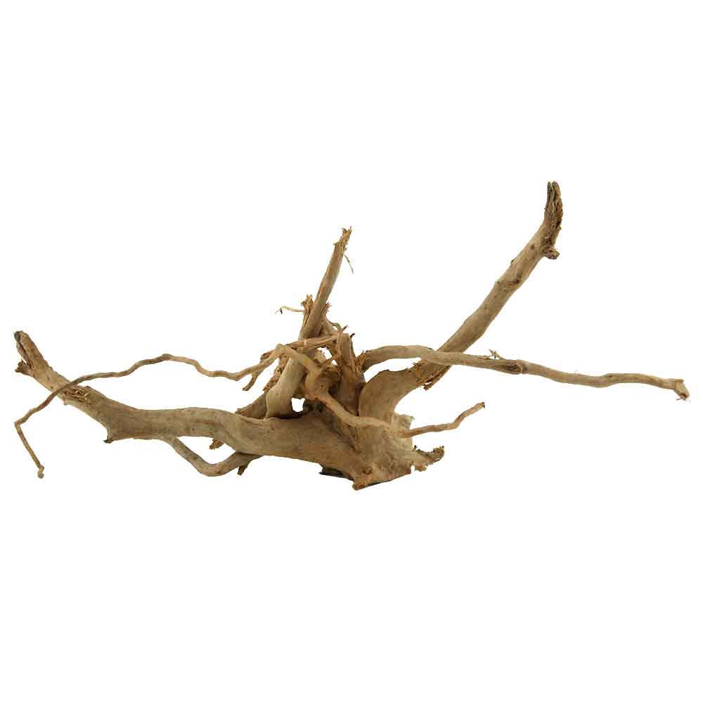 Legno Branch Wood 1881 con foto reale e misure 54x23x26h cm