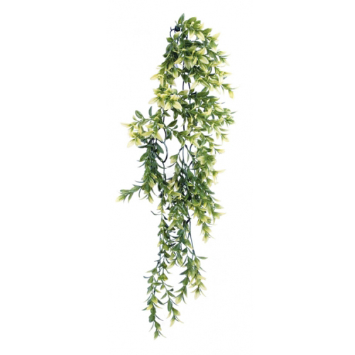 Ferplast Croton Plant pianta per terrario 45 cm
