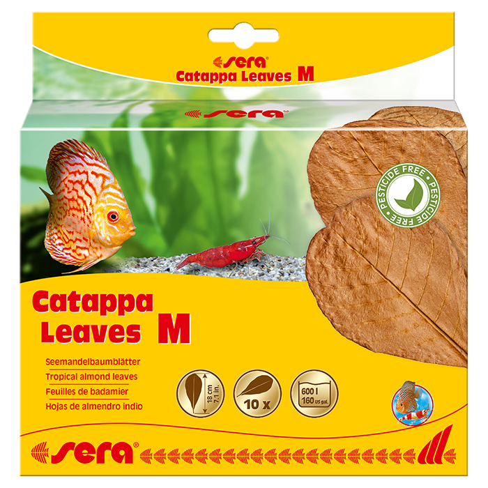 Sera Catappa Leaves Foglie di Catappa M 10 pezzi da 18cm circa per 600l