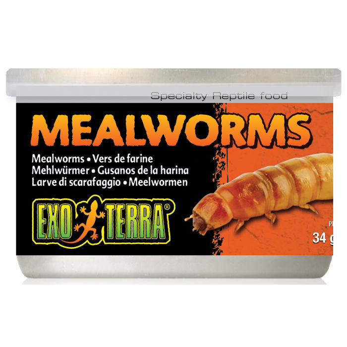 Exoterra Alimento Mealworms (vermi della farina) 34 g