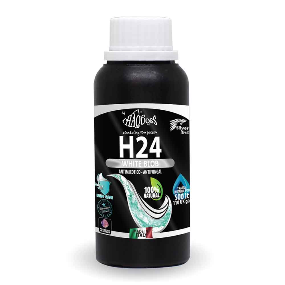 Haquoss H24 White Blob Antimicotico Antifunghicida nel dolce 100 ml per 500 l
