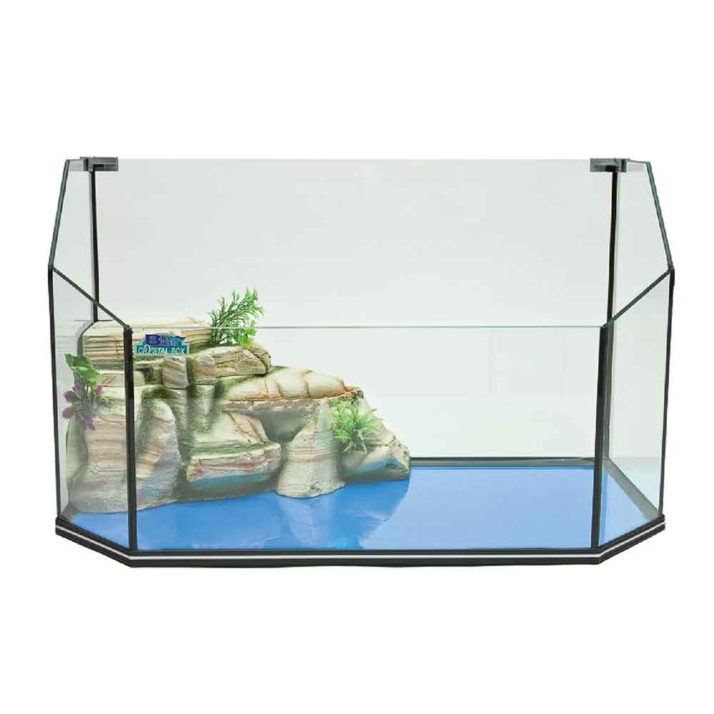 Blu Bios Tartarughiera in vetro Hexagon 51 con isola filtro e pompa