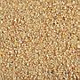 Ada Colorado Sand Sabbia per Aquascaping 8Kg