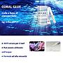 Maxspect Coral Glue Colla per coralli Cyanocrilato 5g