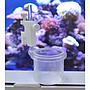 Coral Box Mangiatoia Rotonda per alimentazione mirata per acquari aperti e con barre