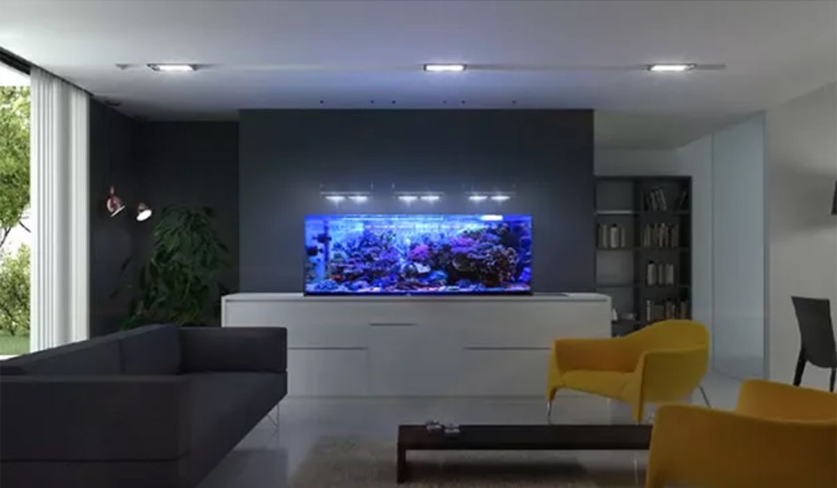 Acquariomania - Esempio 3 per tre colonne