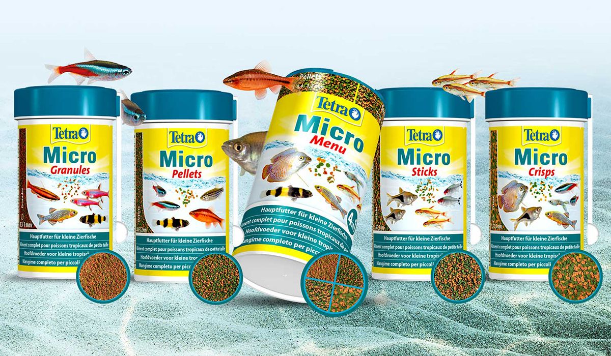 Acquariomania - Esempio 3 per tre colonne