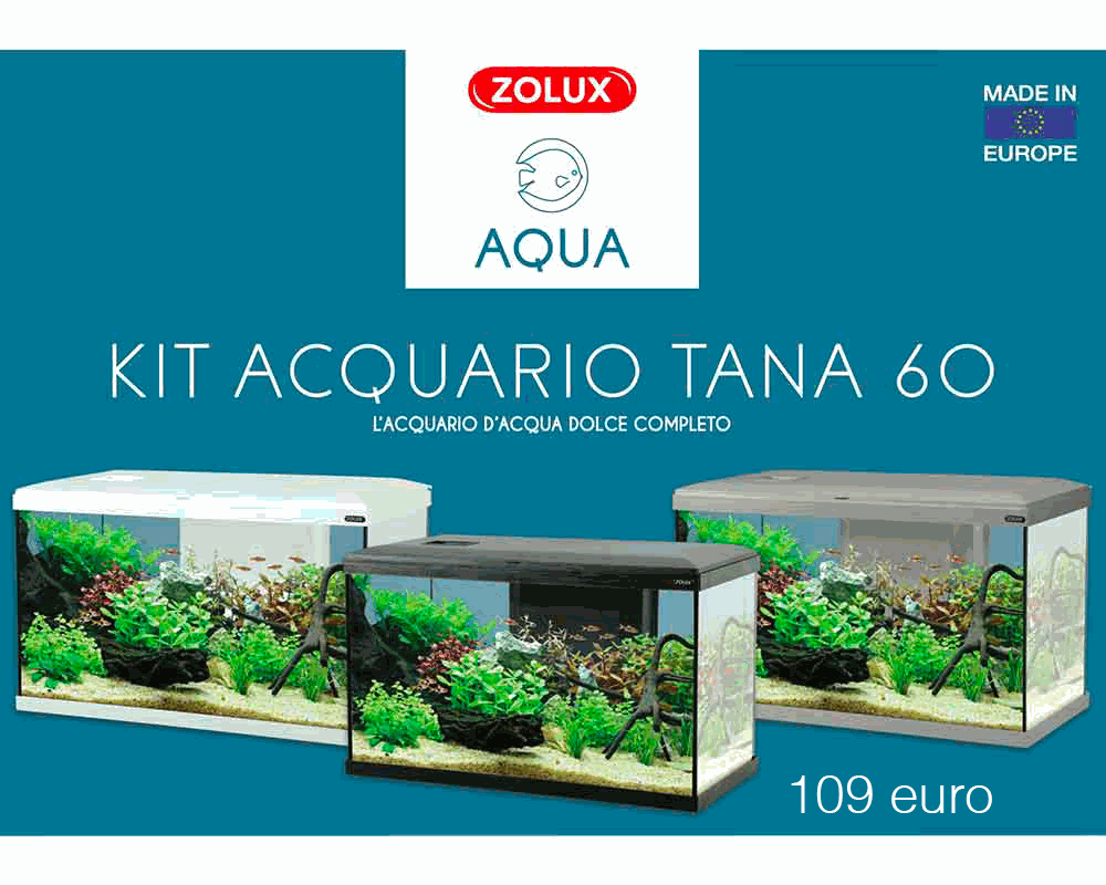 Acquariomania - Esempio 3 per tre colonne
