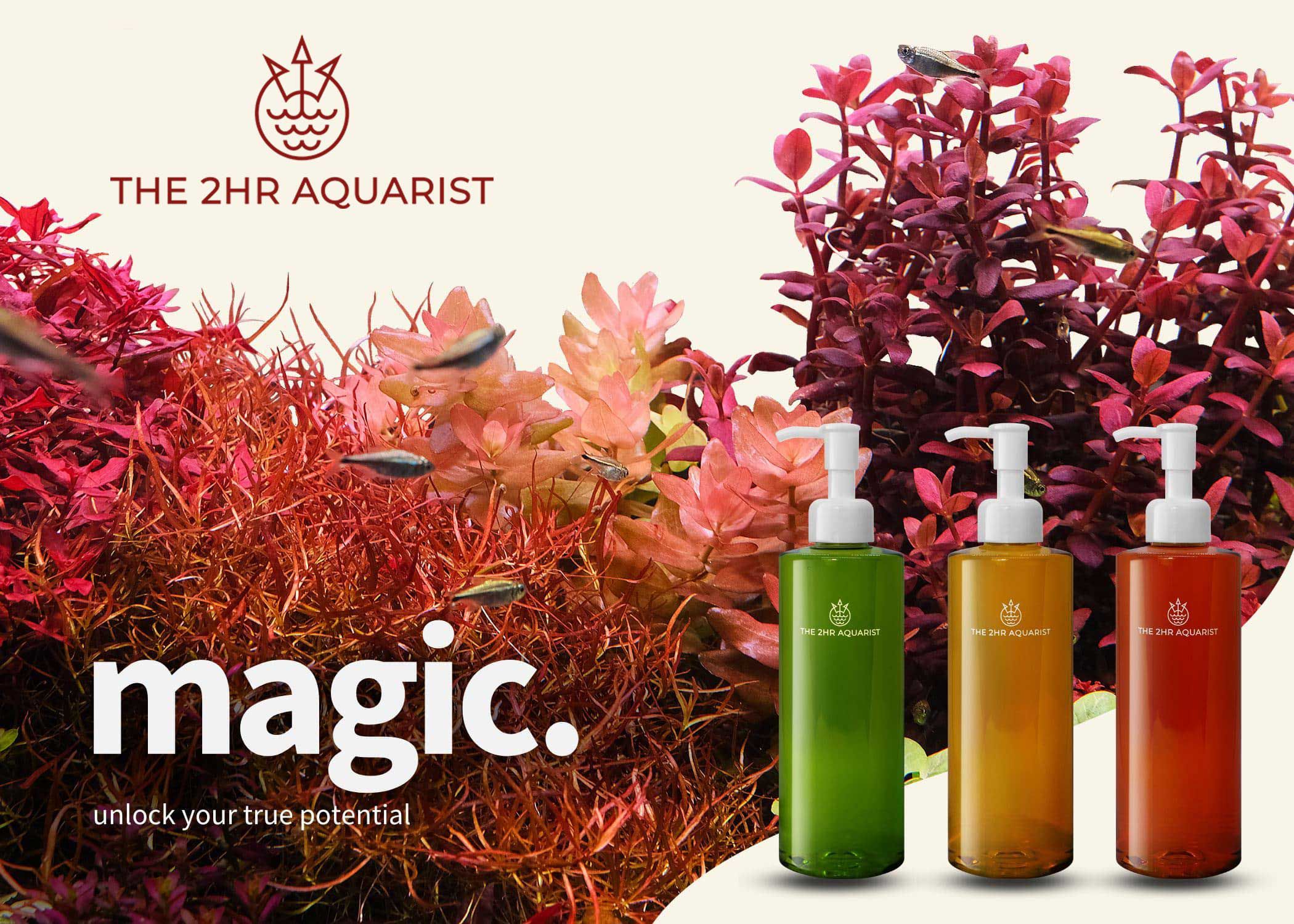Acquariomania • Immagine e testo