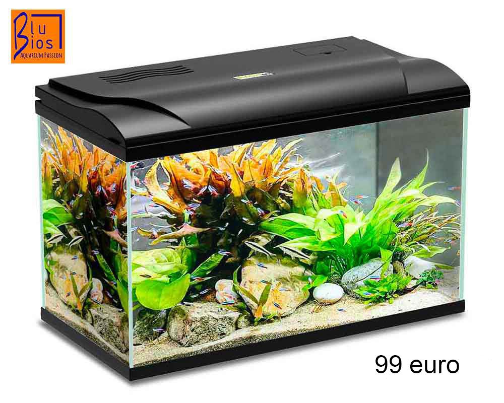 Acquariomania - Esempio 3 per tre colonne
