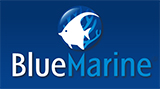 Blue Marine