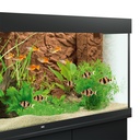 Juwel Sfondo interno 3D Stone Clay 60x55 cm