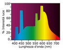 Askoll Lampada a neon Sun Glo T8 40W 1200mm