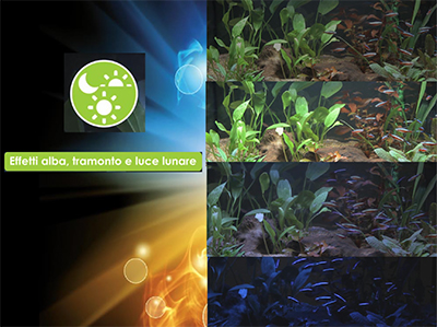 Askoll Acquario Pure LED L White 56x36x43,5h cm 68Lt