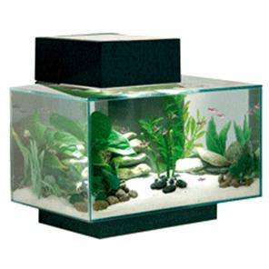 Oase Acquario Luminoso Biorb Tube 30 Litri Colore Bianco con Luci a Led Bianchi