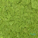 Askoll Diet Scaglia Spirulina 250ml 40gr