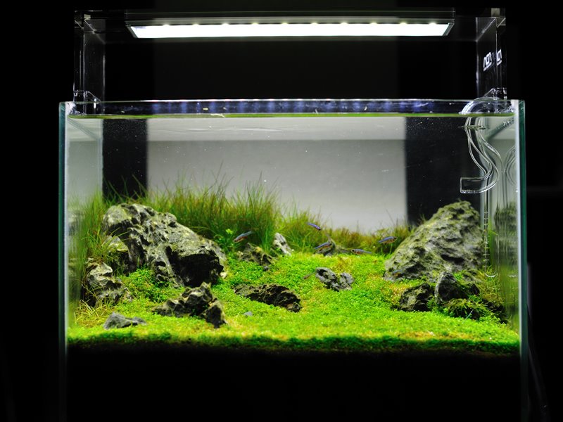 Ada Aquasky 361 Plafoniera a Led per Dolce 7000K° per vasche da 36cm