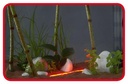 Askoll Stick Light Led Rosso Sommergibile 1.5W 26cm