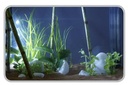 Askoll Stick Light Led Bianca Sommergibile 1.5W 26cm