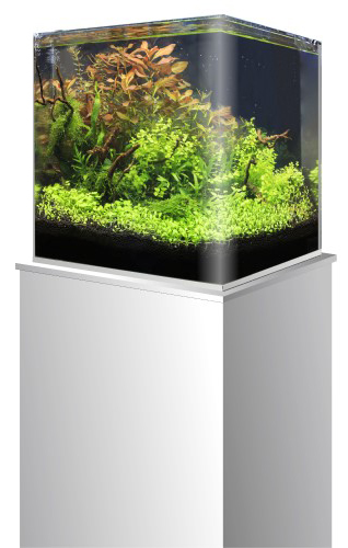 Amtra Nanotank 60 Acquario 60 Litri Vasca Coperchio e Tappetino 38x38x43h cm