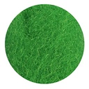 Eheim 2506051 Fix Lanetta Filiforme verde filtraggio meccanico 1Lt