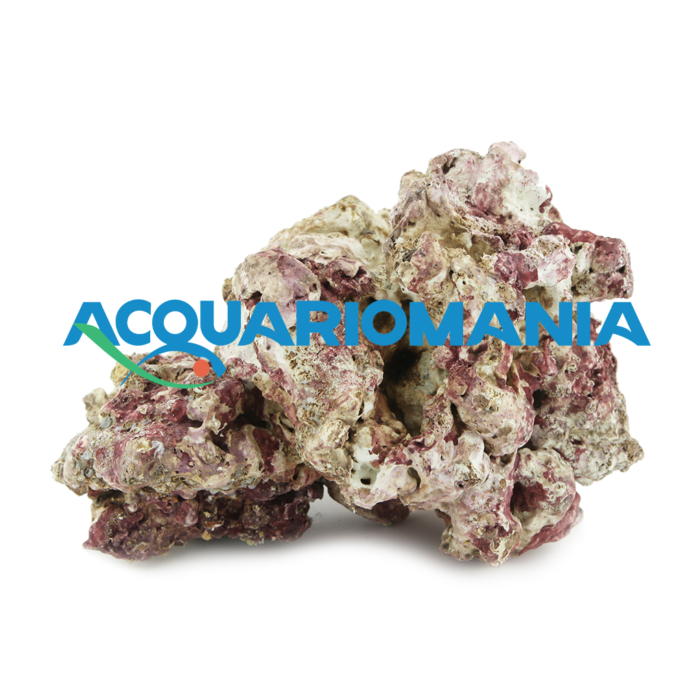Roccia Light Sea Rocks sintetica ultraleggera per acquari marini prezzo al Kg