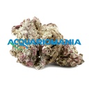 Roccia Light Sea Rocks sintetica ultraleggera per acquari marini prezzo al Kg