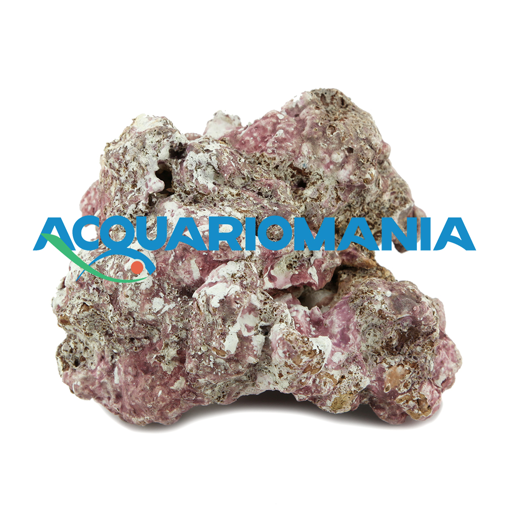 Roccia Light Sea Rocks sintetica ultraleggera per acquari marini prezzo al Kg