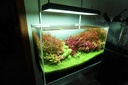 Chihiros Plafoniera a Led RGB VIVID II Bluetooth per acquario dolce 43cm 130W 8000K° nera