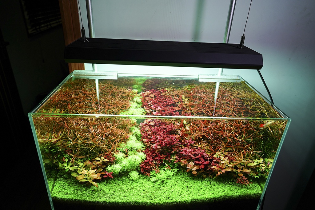 Chihiros Plafoniera a Led RGB VIVID II Bluetooth per acquario dolce 43cm 130W 8000K° nera