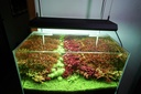 Chihiros Plafoniera a Led RGB VIVID II Bluetooth per acquario dolce 43cm 130W 8000K° nera