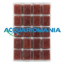 Ocean Nutrition Bloodworm Chironomus congelato 100gr