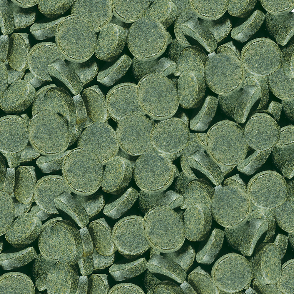 Sera Spirulina Tabs Nature 24 pastiglie