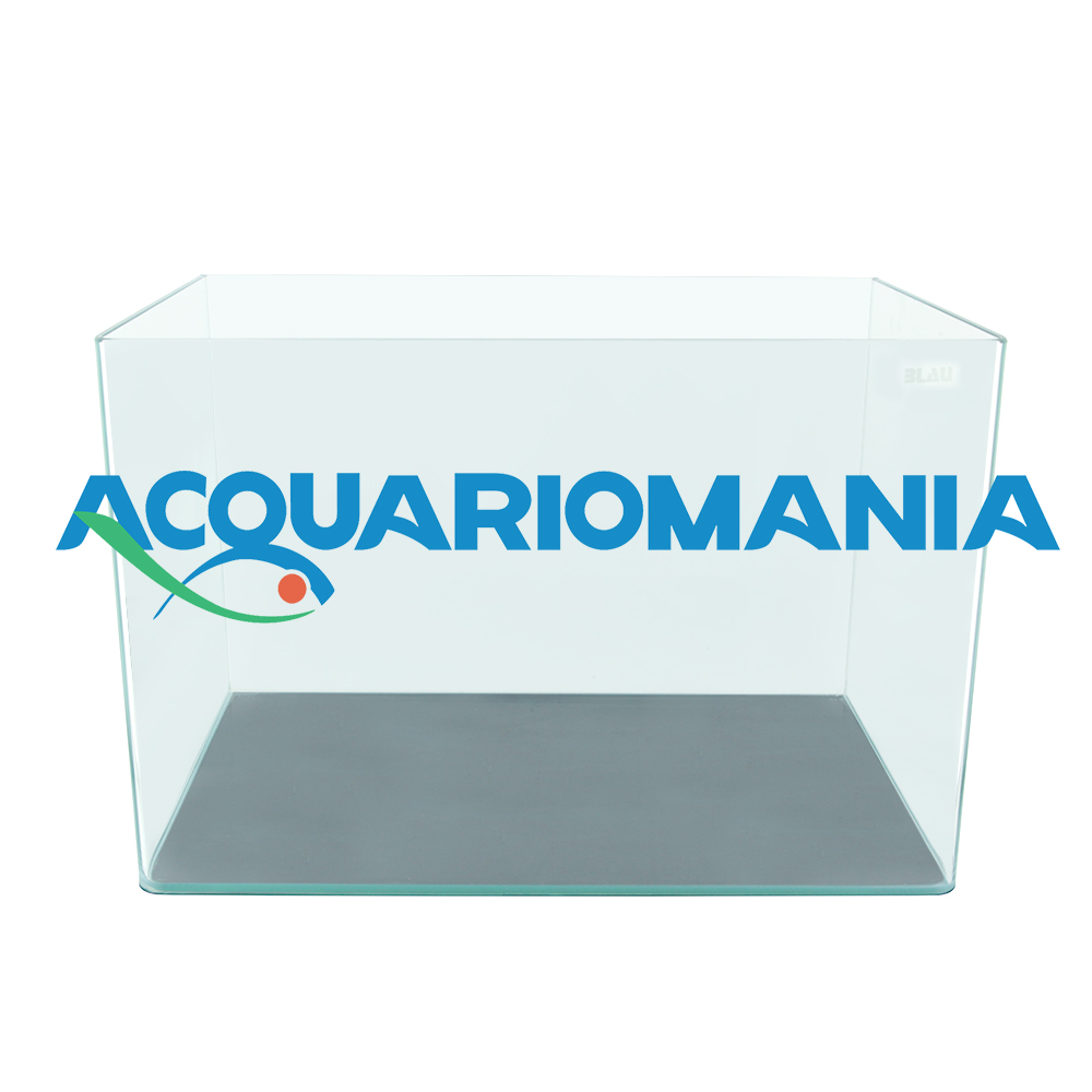 Acquario Haquoss Blu 3.8 – 21,6x15,6x20,8 Cm, 3,8 Litri, Colore Nero, Adatto Per Principianti, Bassa Manutenzione