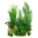 Zolux PlantKit Idro 3 Assortimento 7 piantine in plastica
