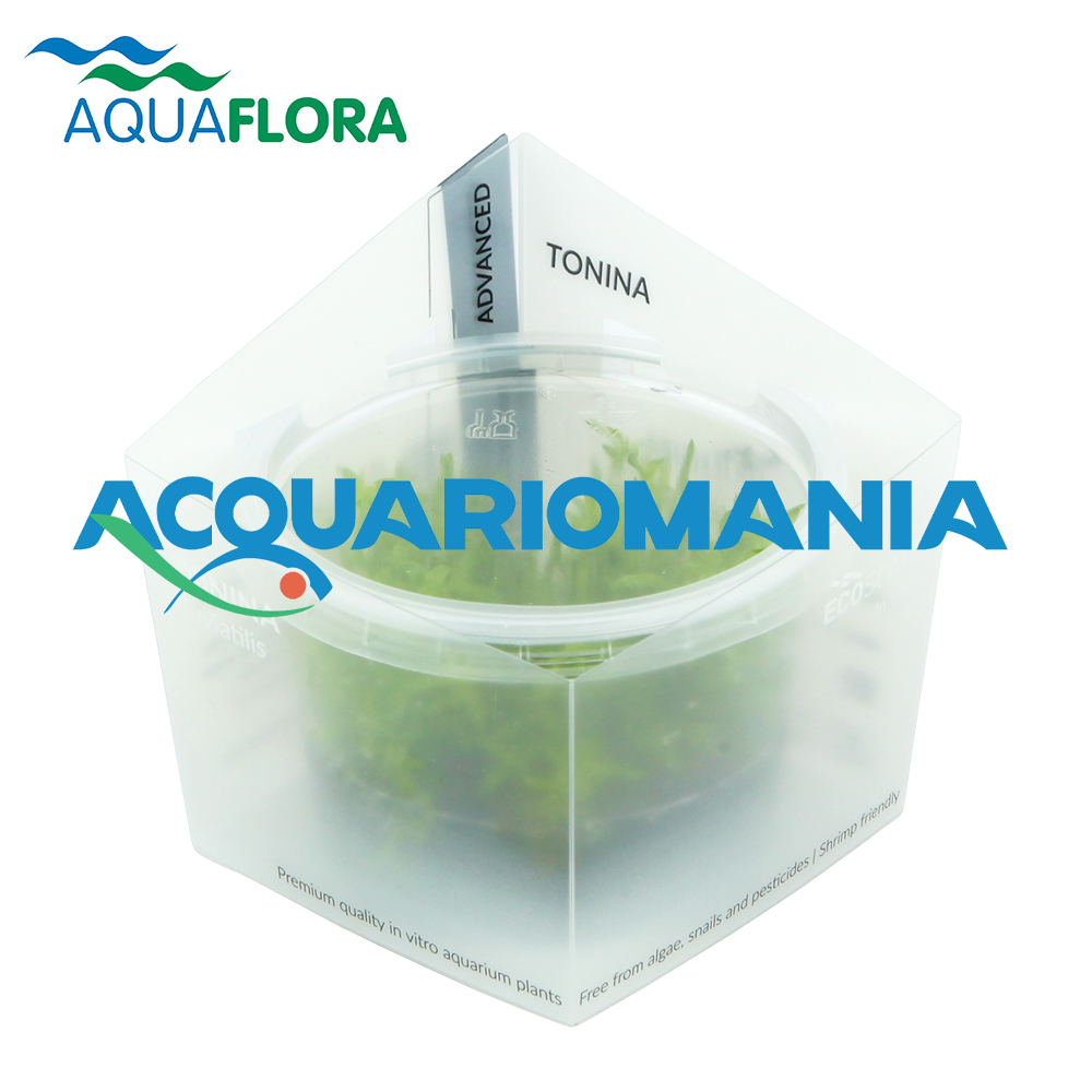 Aquaflora Tonina fluviatilis in Vitro Cup