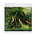 Oase Acquario StyleLine 85 Bianco 50x36x42 75 litri