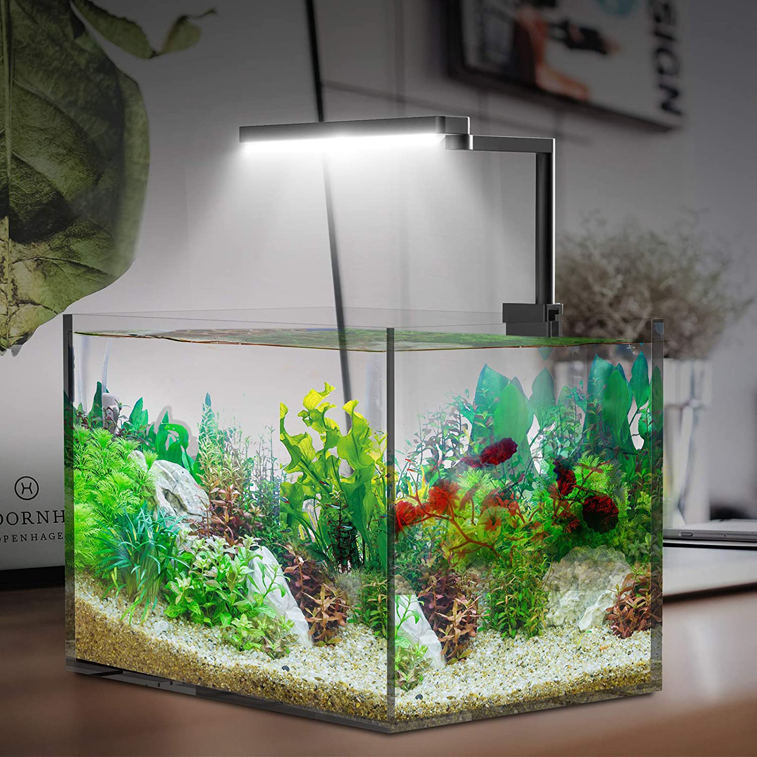 Chihiros CII RGB Lampada a Led con Controller Bluetooth 20W