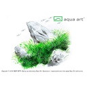Aqua Art Eleocharis acicularis "Mini" in Vitro Cup