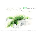 Aqua Art Eleocharis pusilla in Vitro Cup