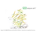 Aqua Art Hygrophila sp. "Tiger" in Vitro Cup