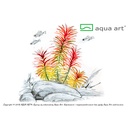 Aqua Art Limnophila aromatica in Vitro Cup