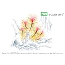 Aqua Art Pogostemon stellatus in Vitro Cup