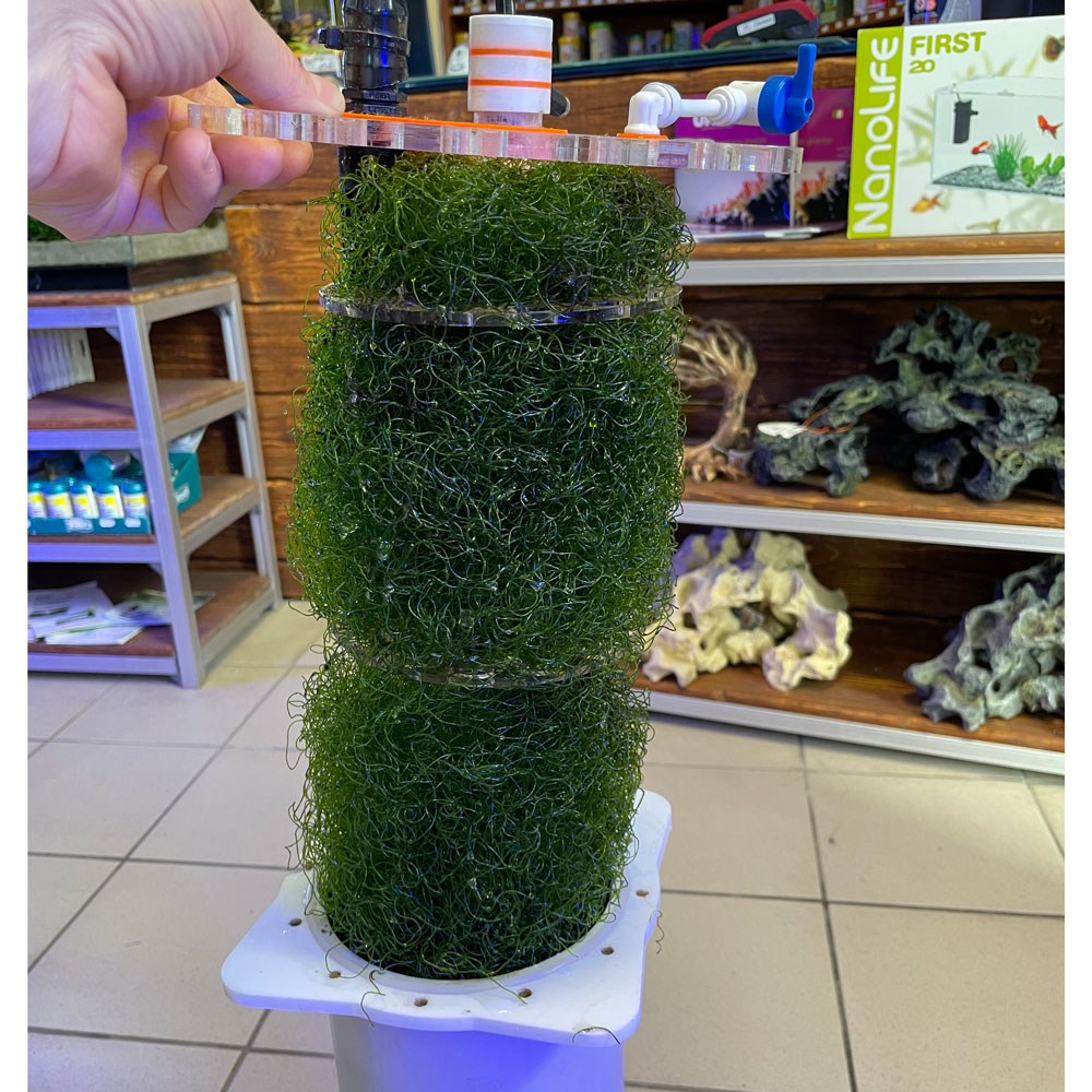 Pacific Sun Algae Reactor BH Large Reattore ad alghe per acquari marini fino a 2200 litri circa