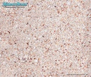Nature's Ocean Natural Bio-Activ Live Aragonite Reef Substrate 7.26Kg