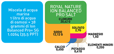 Royal Nature Ion Balanced Pro Reef Salt  Sacco 4Kg