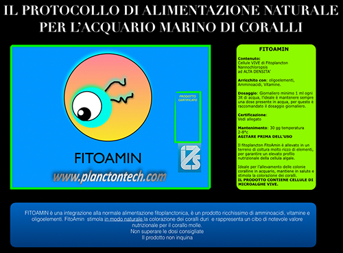 Planctontech Fitoamin Fitoplancton Vivo arricchito con Aminoacidi, Vitamine e Oligoelementi in bottiglietta 1 litro